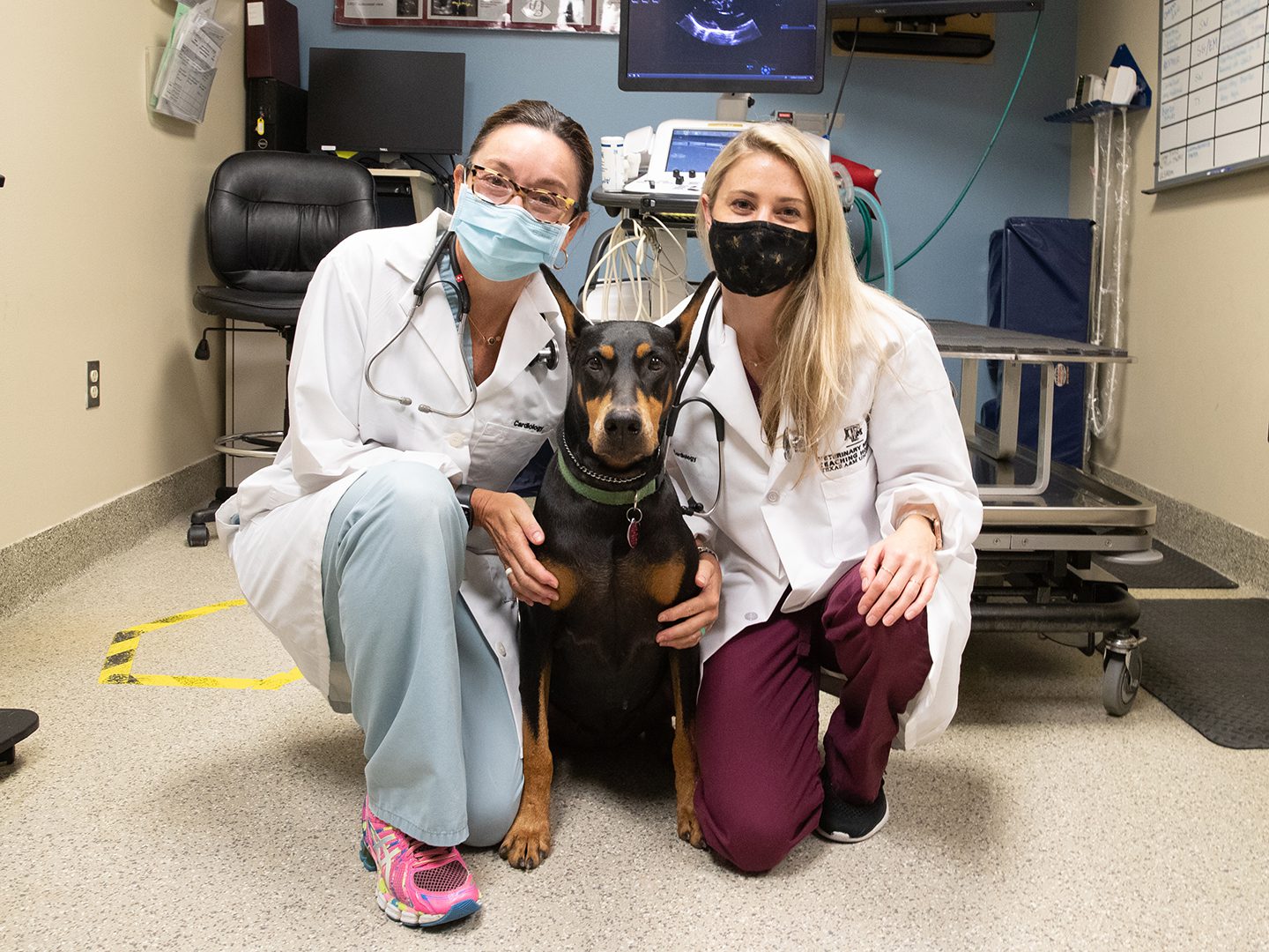 Texas A&M Veterinary invests in objective admissions Kira Talent