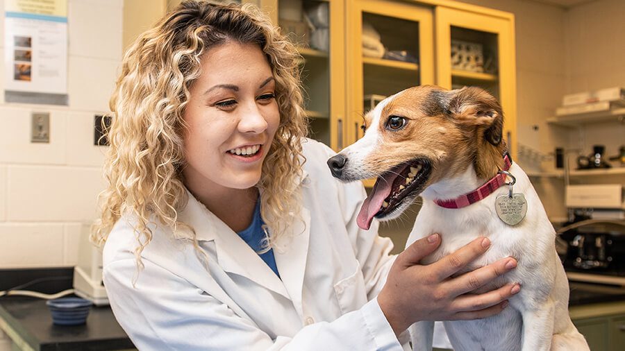 Purdue Veterinary Medicine builds a structured admissions process for  repeatable success - Kira Talent